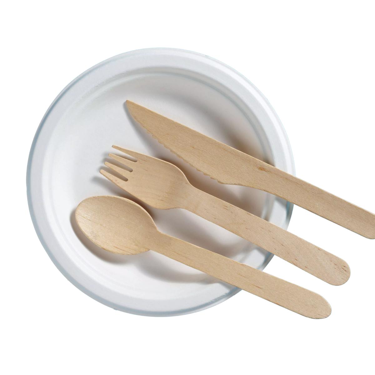 Paper Plate